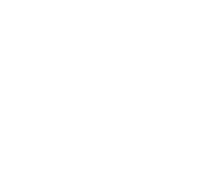 Elevate Systems Logo